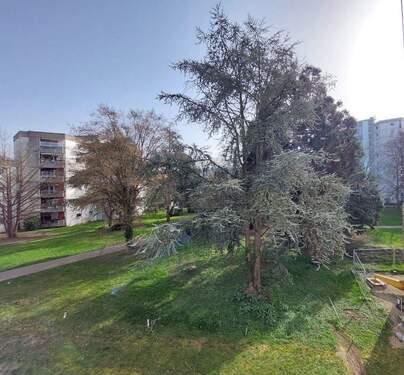 Blick vom Balkon - Etagenwohnung mit 86,00 m&sup2; in Staufen im Breisgau zum Kaufen