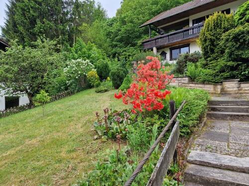 Bild... - 1 Zimmer Mehrfamilienhaus, Wohnhaus zum Kaufen in Walkenried