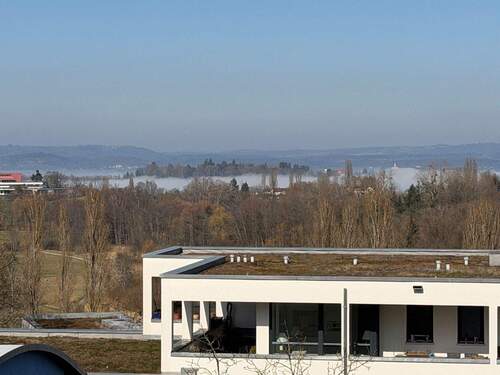 Blick auf die Mainau - 