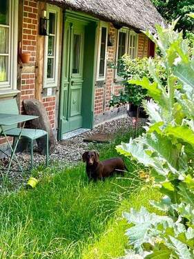 Bild 1 - PROVISIONSFREI - Friedliches Refugium auf dem Lande - Zwei 2024 sanierte Landhäuser in Ortsrandlage