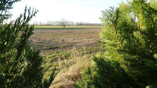 Blick unverbaubar nach hinten - 