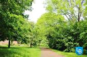 Hinterm Haus - 