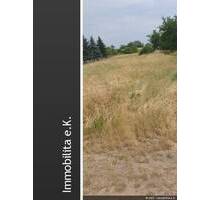 Baugrundstück für Einfamilienhaus - Hohen Saaten Hohensaaten