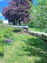 vorderer Gartenbereich - 