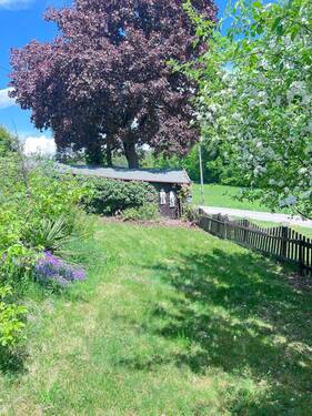 vorderer Gartenbereich - 