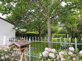 Blick in den Garten - 