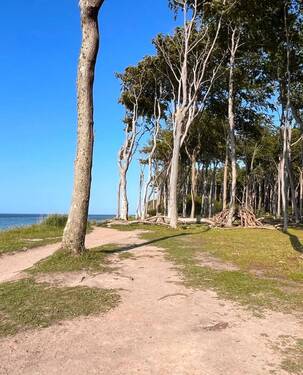 Strandumgebung.jpg - 2 Zimmer Etagenwohnung in Börgerende-Rethwisch