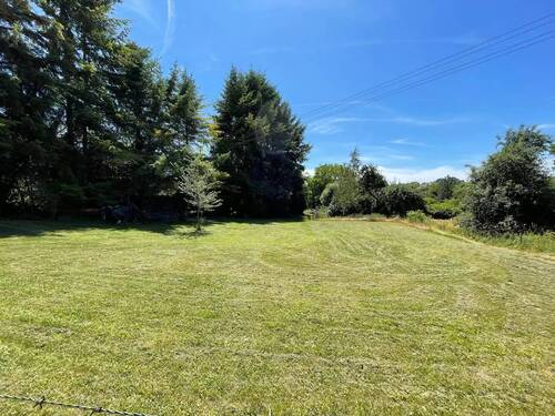 598254c9-29f1-4f7c-b3a4-5765d931053f.webp - 