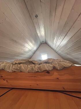 Dachspitz: Rückzugsort - 