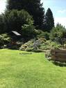 Garten / Alpinarium - 