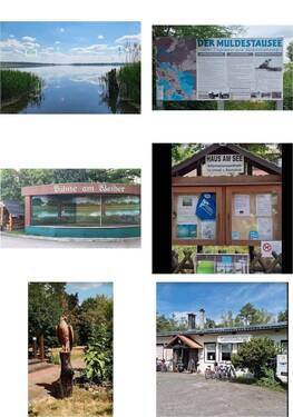 Umgebung Muldestausee - 