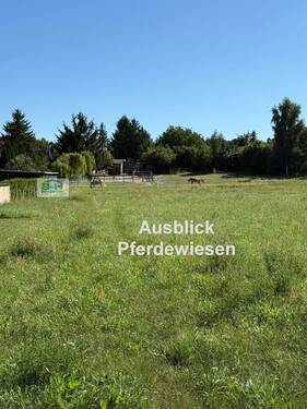 Ausblick unverbaut - 5 Zimmer Einfamilienhaus zum Kaufen in Muldestausee