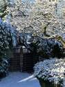Garten Winter - 