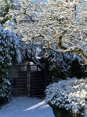 Garten Winter - 