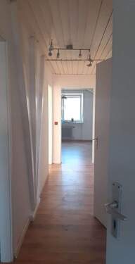 DG - 