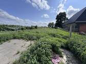Garten - Grundstücksansicht - 