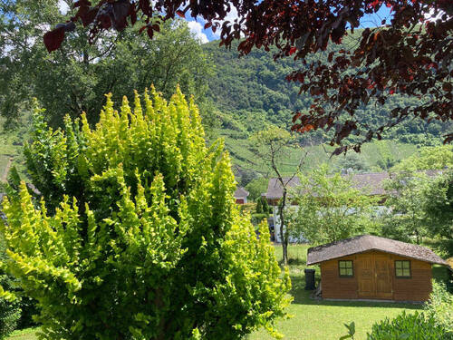 Ausblick von der Terrasse - 