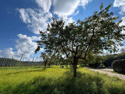 Über der Straße beginnt die Natur - Grundstück in Eckental