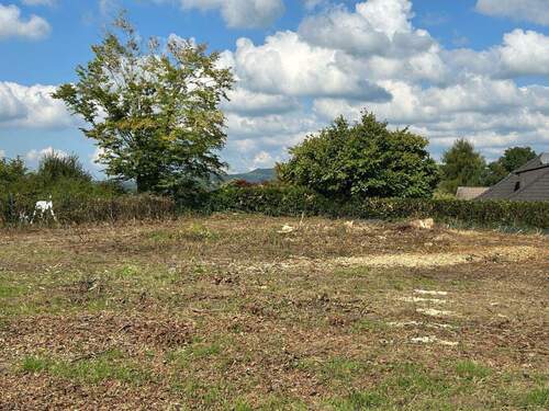 Blick von der Mitte nach Norden - 