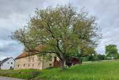 Ansicht - Ehemaliges Bauernhaus Doppelhaushälfte mit Scheunenhaus, reichlich Ausbaupotenzial mit herrlichem Grundstück in Blieskastel-Brenschelbach