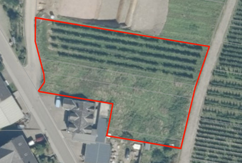 Luftbild - Grundstück in Neumagen-Dhron