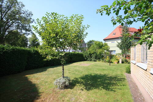 Garten - 3 Zimmer Einfamilienhaus in Falkensee