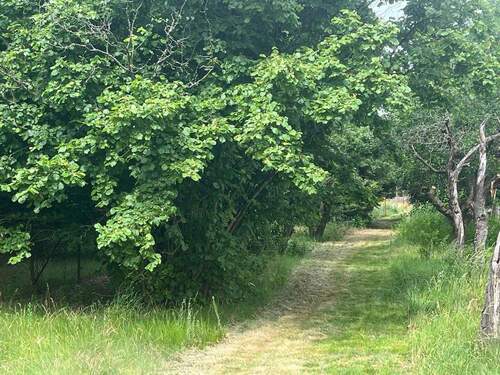 Bild 4 - Grundstück in Neu Hartmannsdorf/Spreenhagen zum Kaufen