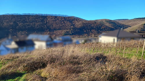 Blick ins Tal - Baugrundstück mit Moseltalblick - Plus viel Platz für Garten - Kita und Grundschule in der Nähe