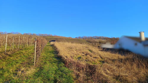 Ansicht von unten - Grundstück zum Kaufen in Neumagen-Dhron