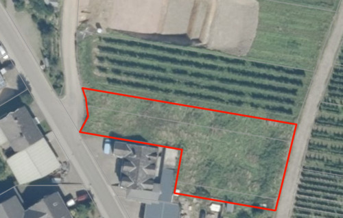 Luftbild mit markierten Grenzen - Grundstück in Neumagen-Dhron