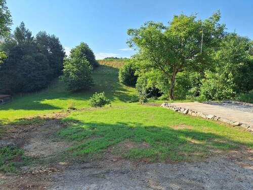 20250703_081736.jpg - 