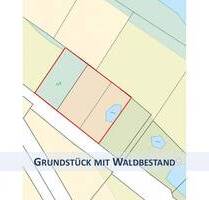 HERRLICHES FREIZEIT GRUNDSTÜCK MIT WALDBESTAND - Vilshofen Reifziehberg