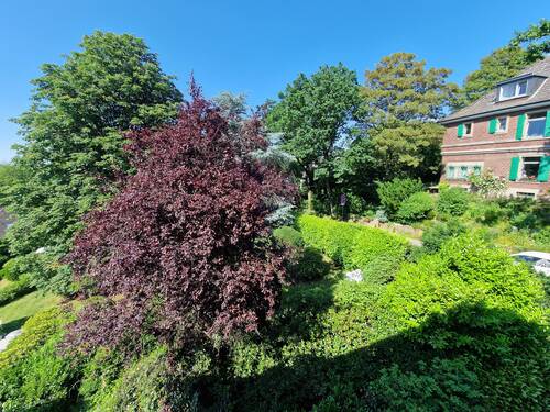 Aussicht Schlafzimmer - 