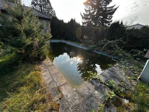 Foto 23.04.25, 08 34 47 - 