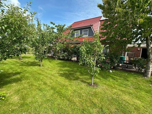 Sicht aus dem Garten - 