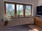 Fensterfront Wohnzimmer - 