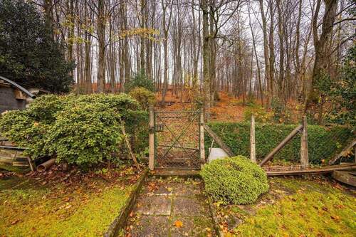 Direkter Zugang in den Wald - 