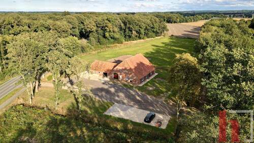 Außenansicht / Luftbild - 6 Zimmer Einfamilienhaus in Holdorf