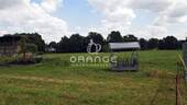 Weideland (bis zur hinteren Baumreihe) - 