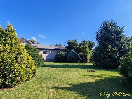 .... und zum Genießen - 