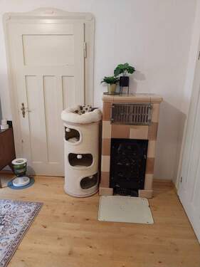 20251121_110157.jpg - 