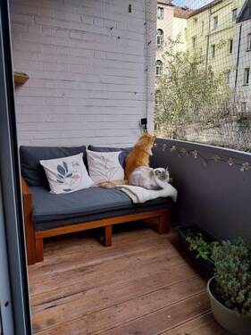 20251121_110337.jpg - 