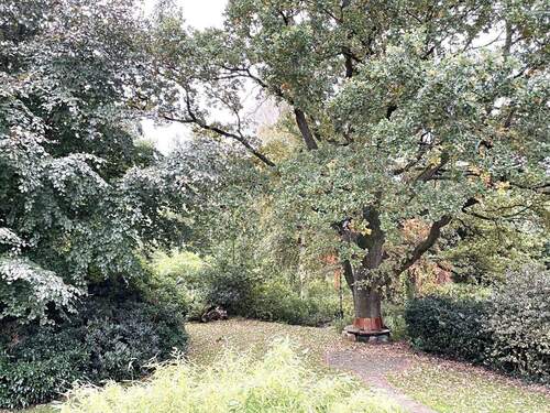 Blick in den Garten - 