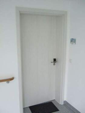 harmonische Wohnungseingangstüren - 