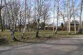 Park bei der Straße - 
