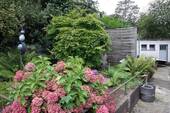 Hausgarten - 