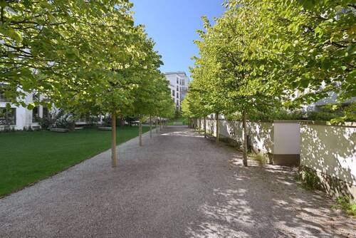 Allee - 