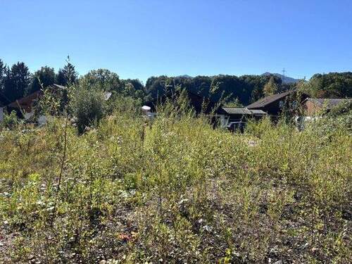 Bild 1 - Großweil: Ruhe - Sonne - Bergblick: Baugrundstück für Ihre Doppelhaushälfte
