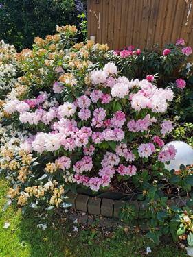 Garten - 