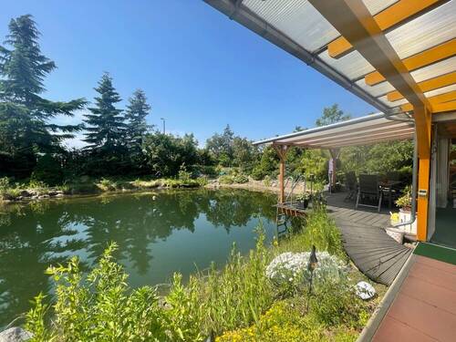 Schwimmteich - 